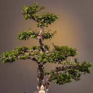 WHISPERING JADE