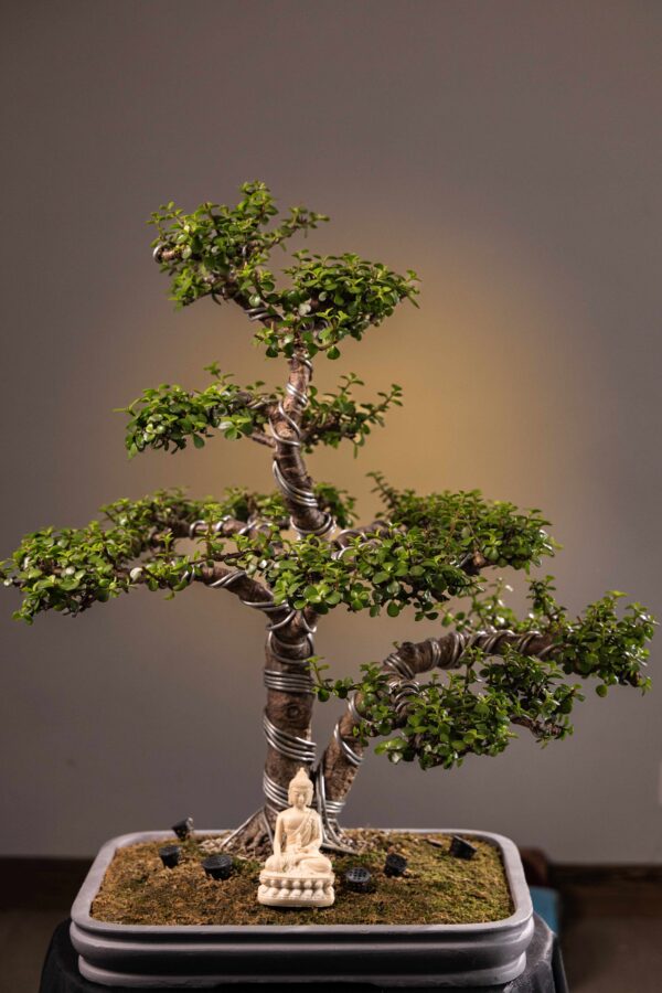 WHISPERING JADE